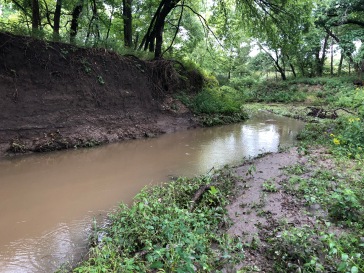 Kings Creek during normal flow.